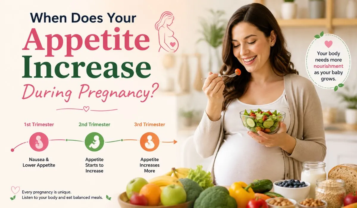When does your appetite increase during pregnancy