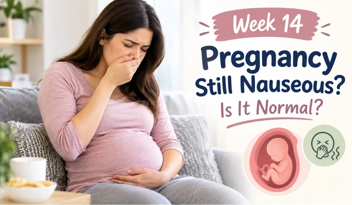 Week 14 pregnancy still nauseous with pregnant woman experiencing morning sickness