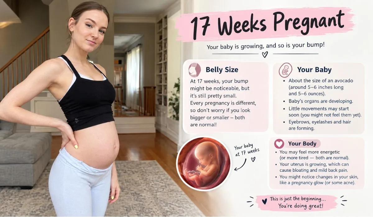 17 weeks pregnant belly size showing typical pregnancy bump