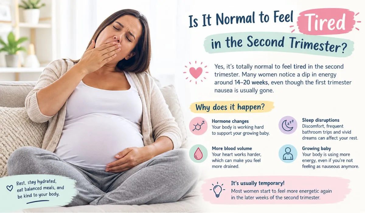 Is it normal to feel tired in the second trimester? Pregnancy fatigue infographic